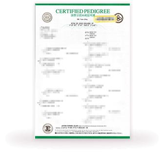 犬の血統を証明するCERTIFIED PEDIGREE書類