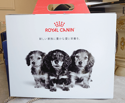 ROYAL CANINのパッケージに3匹の子犬が並んでいる写真