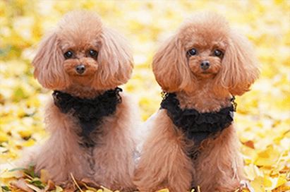 りんちゃん&ゆなちゃん