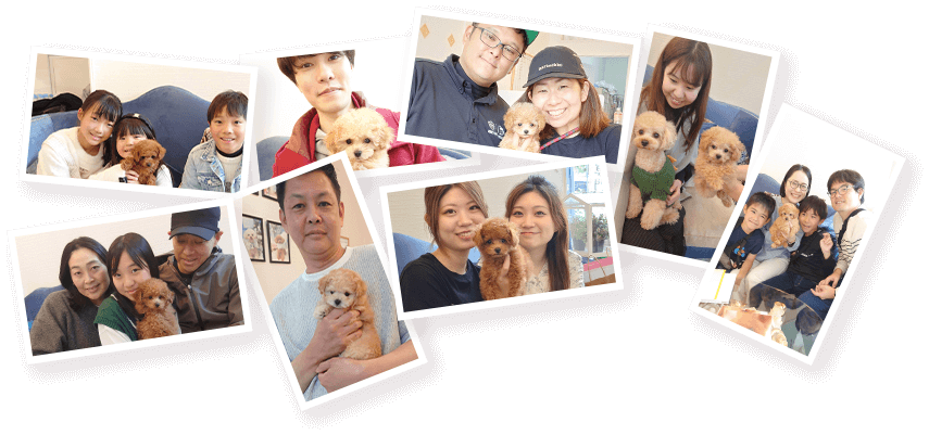 子犬を抱く飼い主家族やカップルの写真のコラージュ