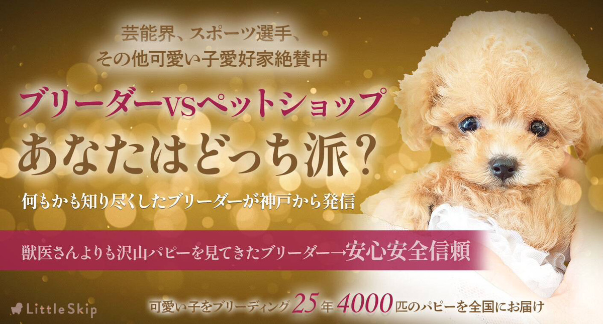 あなたはどっち派バナー