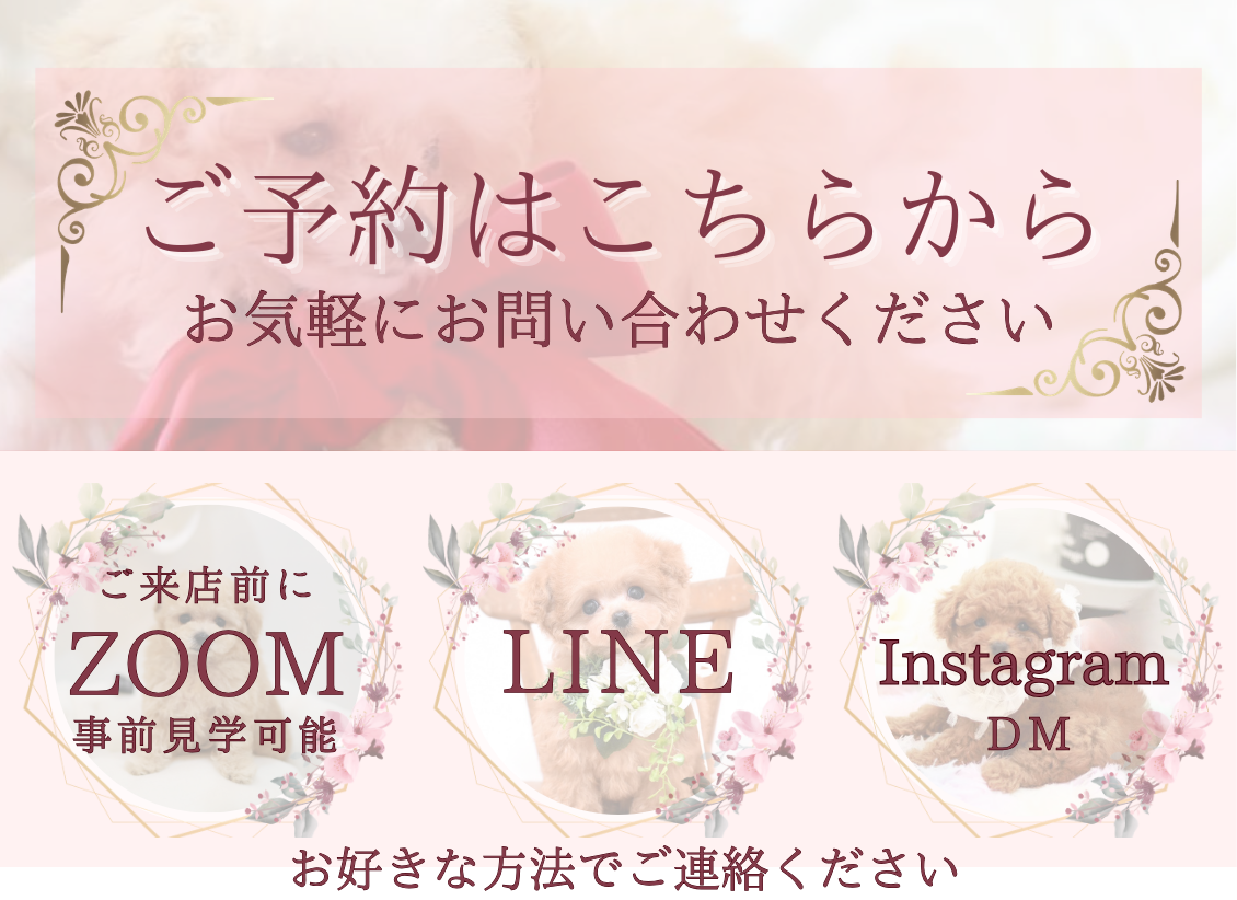 ご予約はこちらから