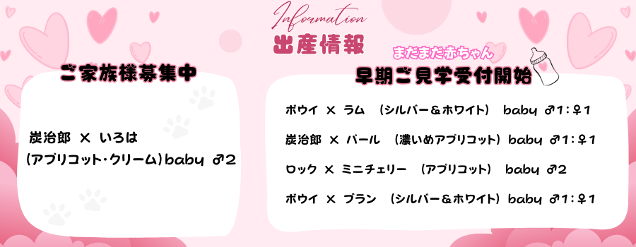 出産情報