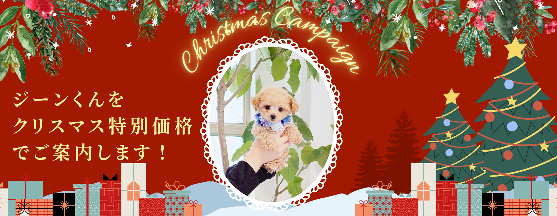 クリスマスキャンペーン