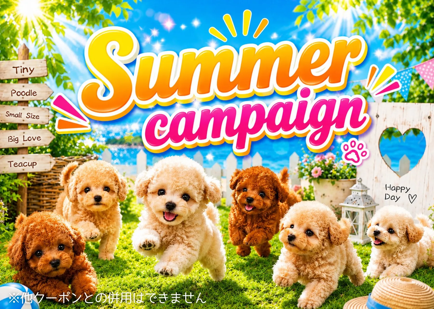 SUMMER CAMPAIGN