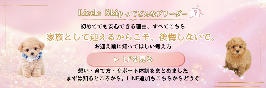 あなたはどっち派バナー