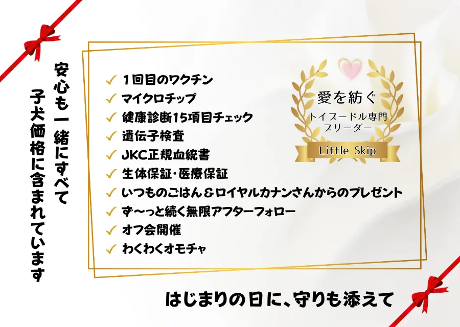 安心のサポート