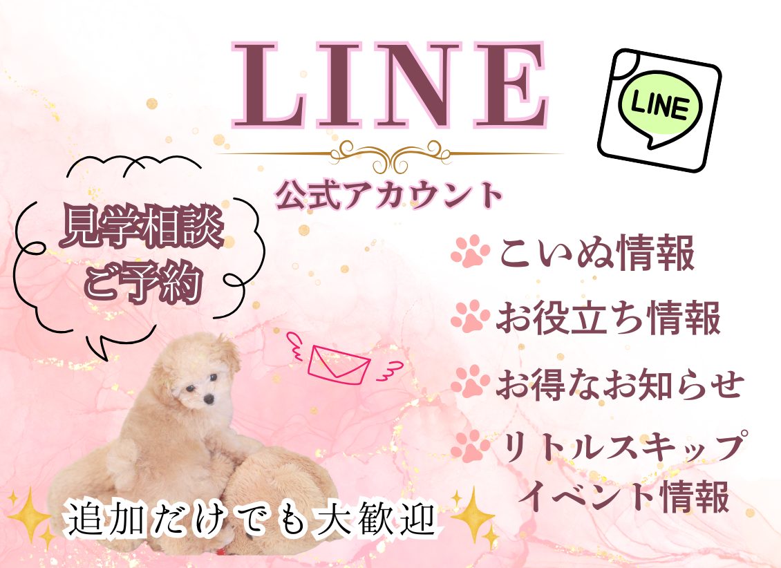 子犬の見学相談・ご予約 LINE公式アカウント
