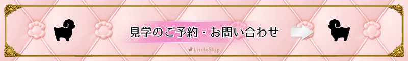 見学のご予約・お問い合わせ