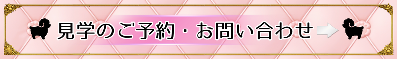 見学のご予約・お問い合わせ