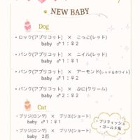 出産情報の公開画像