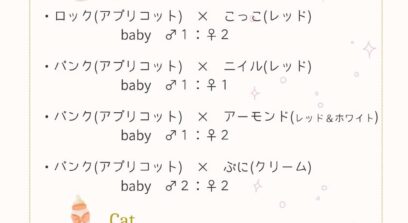 出産情報の公開画像