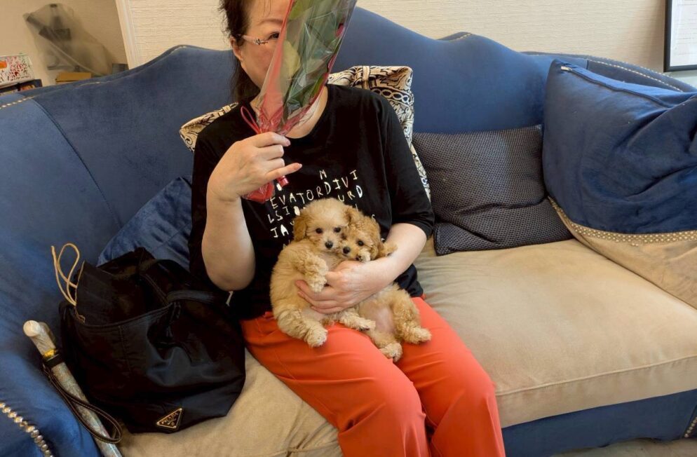 プチフィーヌちゃんとプチロゼリアちゃんを抱っこする新しい飼い主様