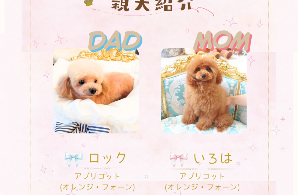 親犬情報